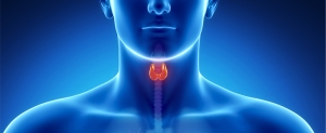 thyroid2_rs